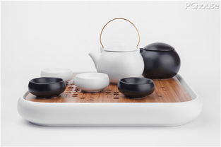 程雄 實用是賦予東方美學(xué)生命力的關(guān)鍵，以家用電器為例