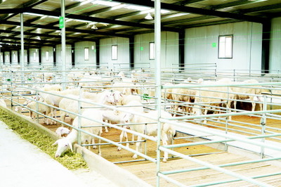 鏡頭下的世界 圖片新聞的力量與影響