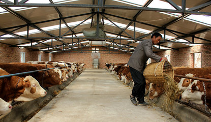 【走進“三農(nóng)”】張家川五大產(chǎn)業(yè)齊并進（三）畜牧設備技術開發(fā) 賦能傳統(tǒng)養(yǎng)殖，驅(qū)動產(chǎn)業(yè)升級