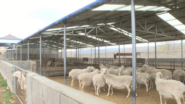 會寧 特色養(yǎng)殖讓鄉(xiāng)村振興“畜”勢勃發(fā)——現(xiàn)代化牧場工程設計引領產(chǎn)業(yè)升級